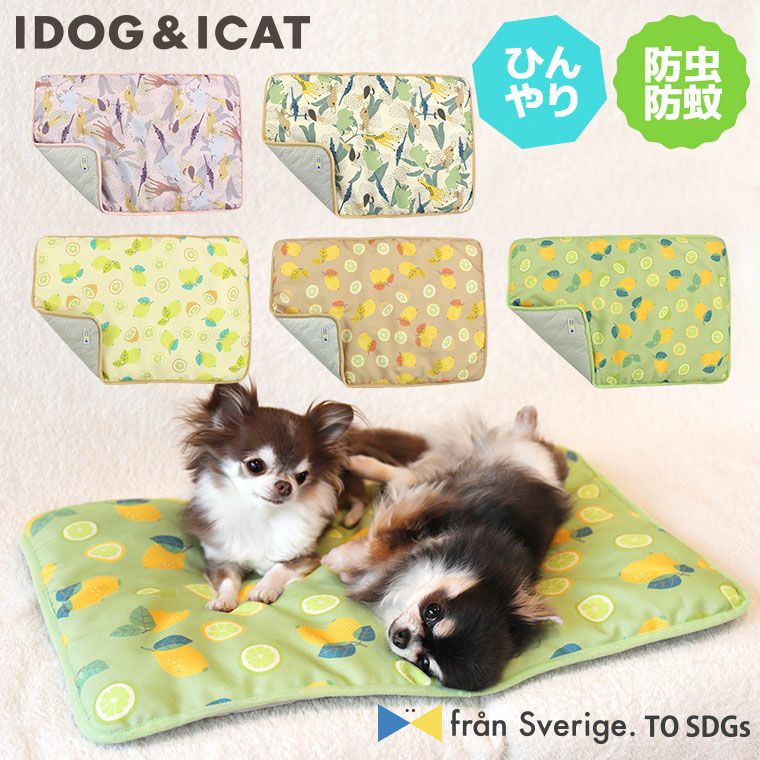Idog Icat ひんやり防虫ステイマット Idog Fran Sverige Sdgs