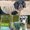 iDogMOSCAPEクレイジーベアボーダータンク防蚊アイドッグ。