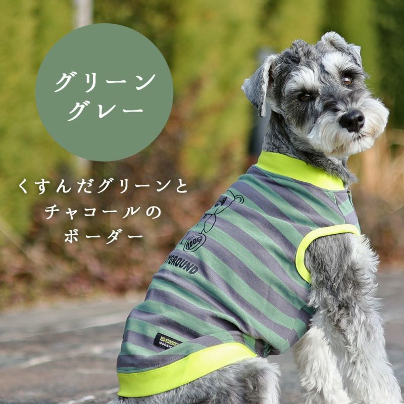 新発売の -犬猫ペット用品通販 伊太利屋 犬 ドッグ ボーダー ビジュー