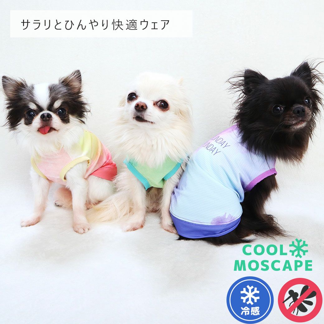 防虫と熱中症この犬服で対策できます