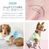 iDogでしか買えない可愛いオリジナル柄の愛犬用クール+防蚊ウェア