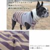 iDogオリジナルパターンが身体にフィット！愛犬の動きを妨げません