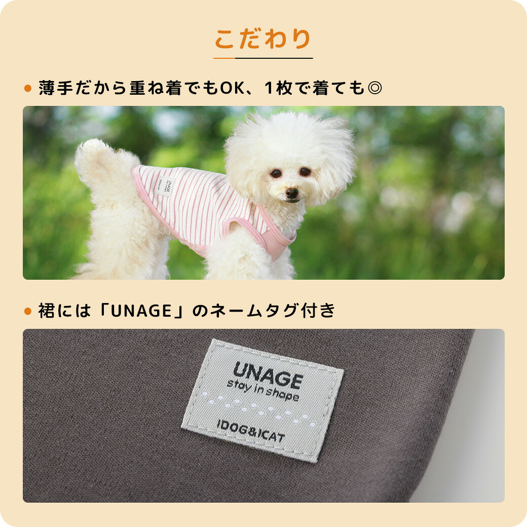 注目ポイント