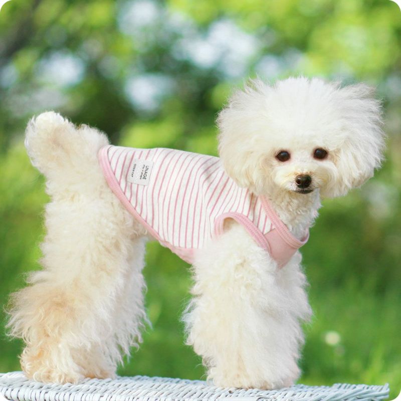 iDog UNAGE ウェルネスウェア 背中開きタンク
