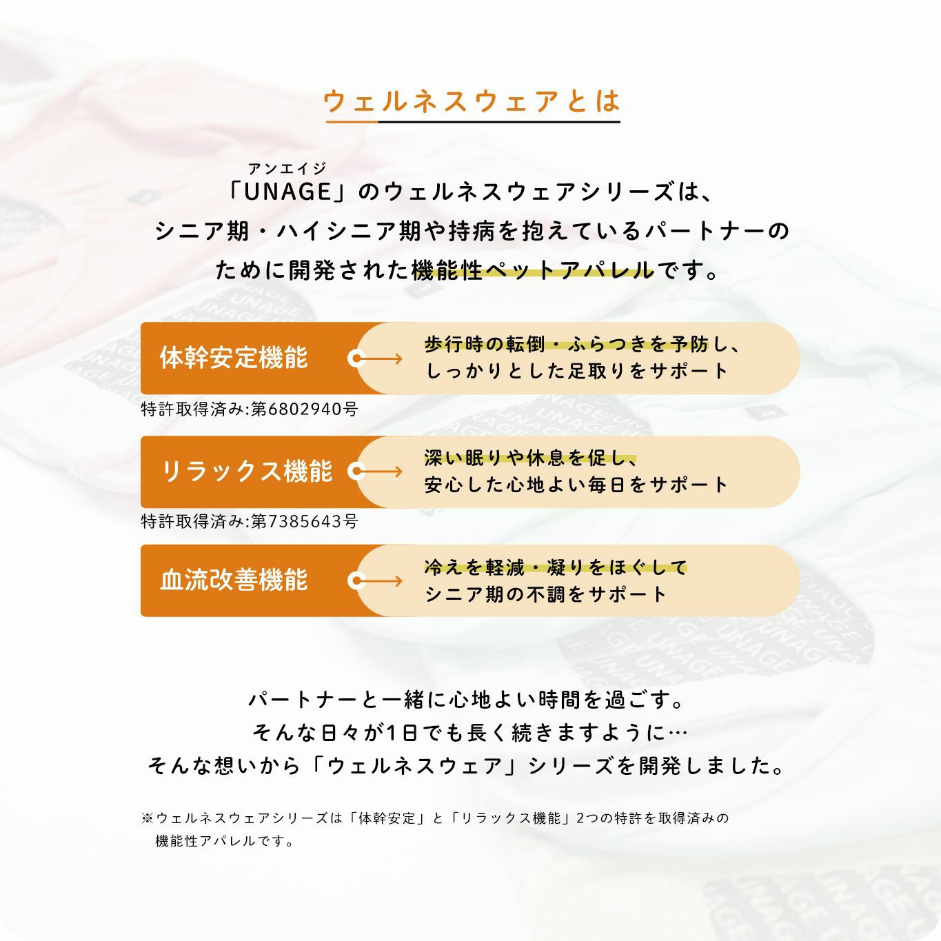 ウェルネスウェアとは