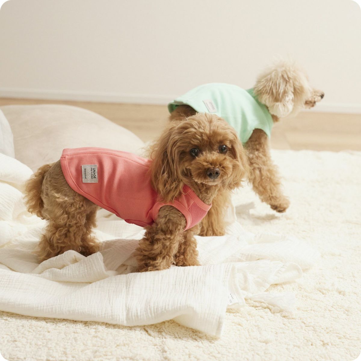 モデル着用イメージ