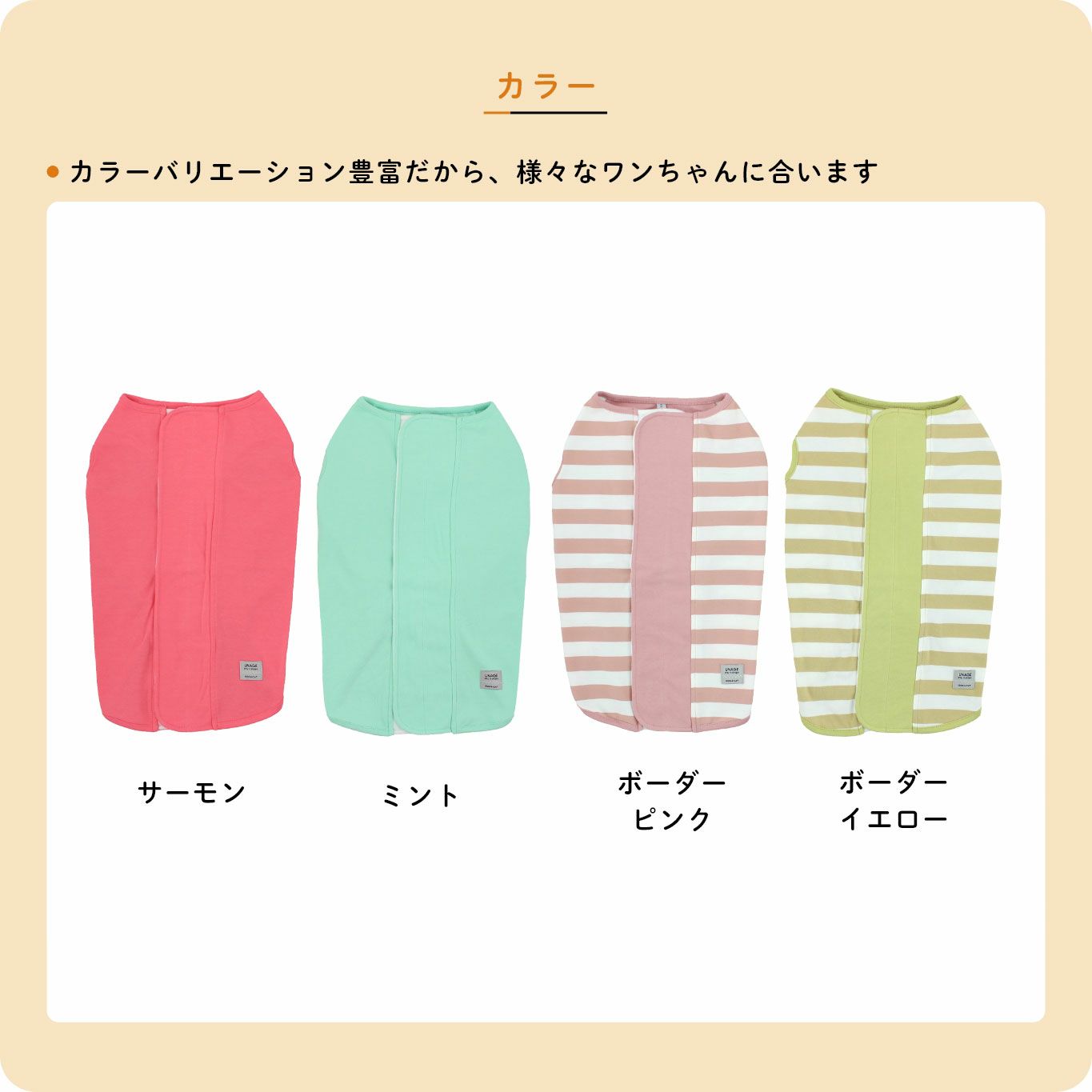 カラー展開