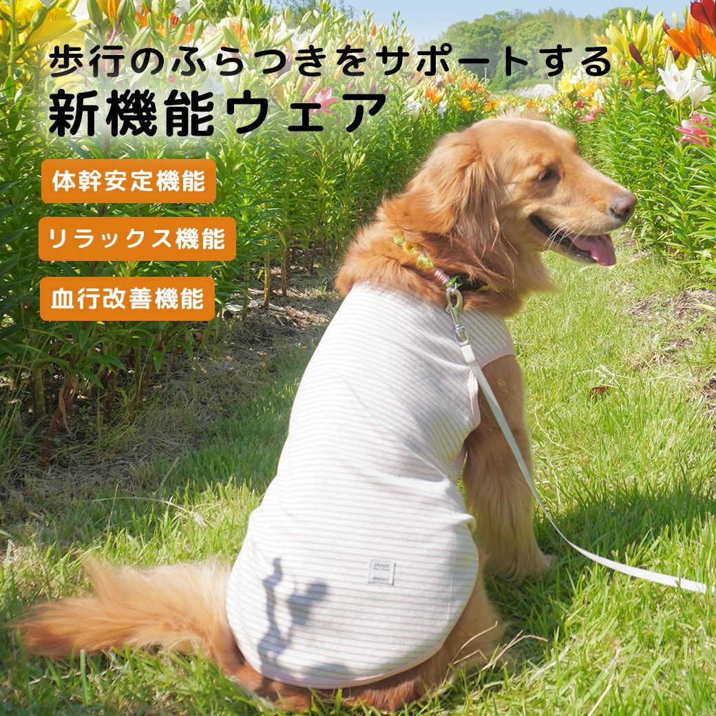 iDogUNAGE中大型犬用ウェルネスウェアインナータンクアイドッグ。