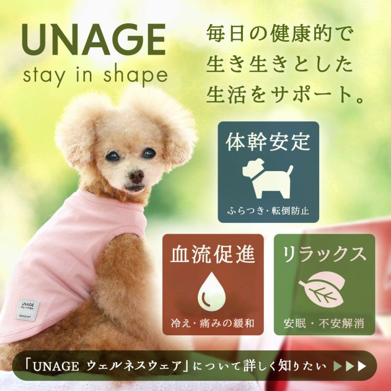 楽天市場】【リピーター限定 クーポン対象☆】【 犬 服 】iDog