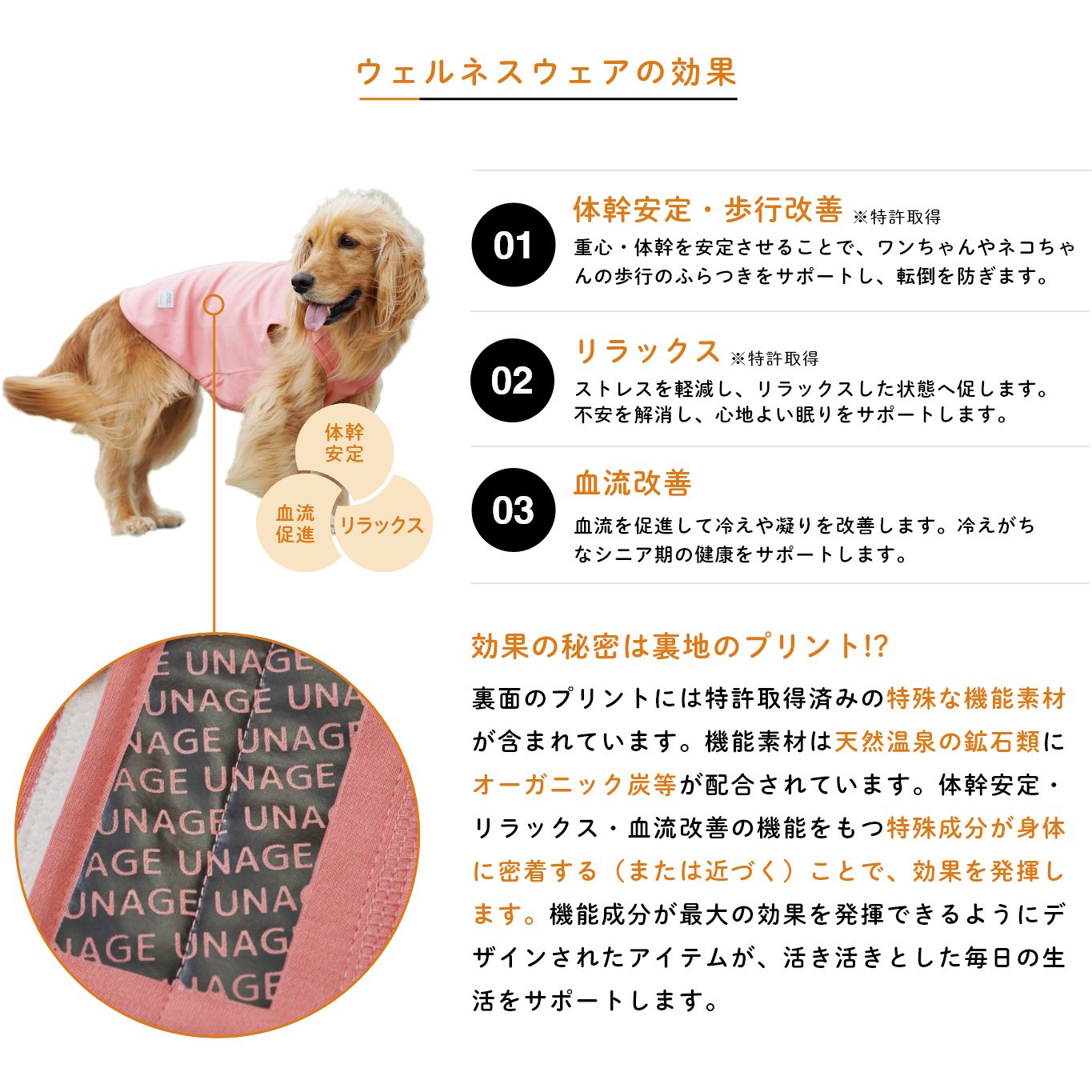 歩行改善などの効果を発揮