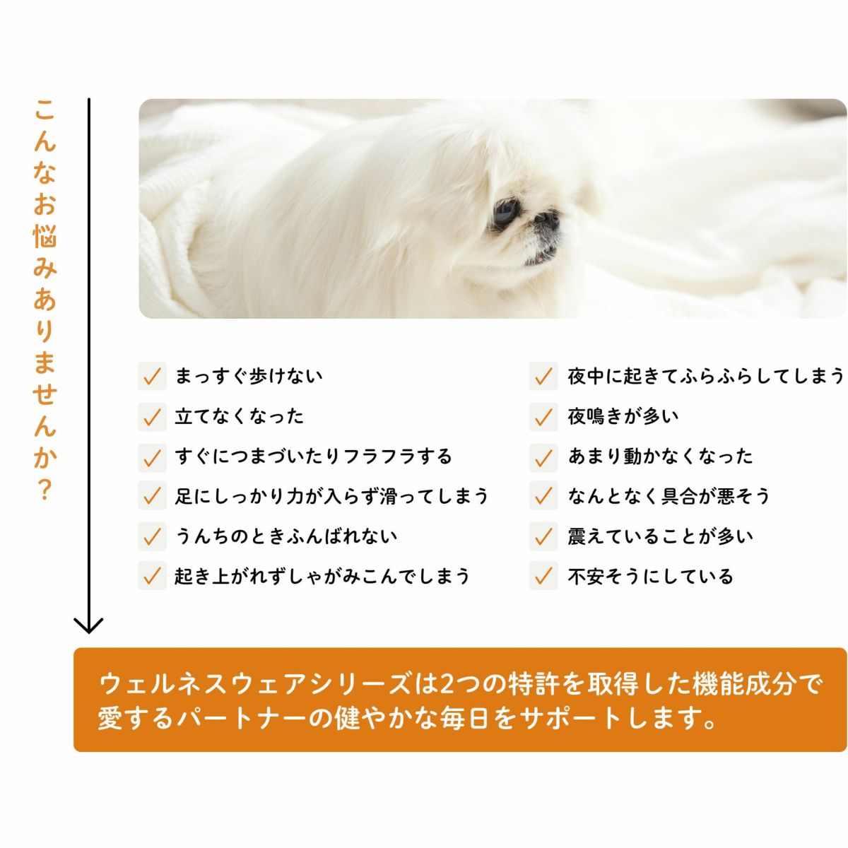 本格的なデザイン