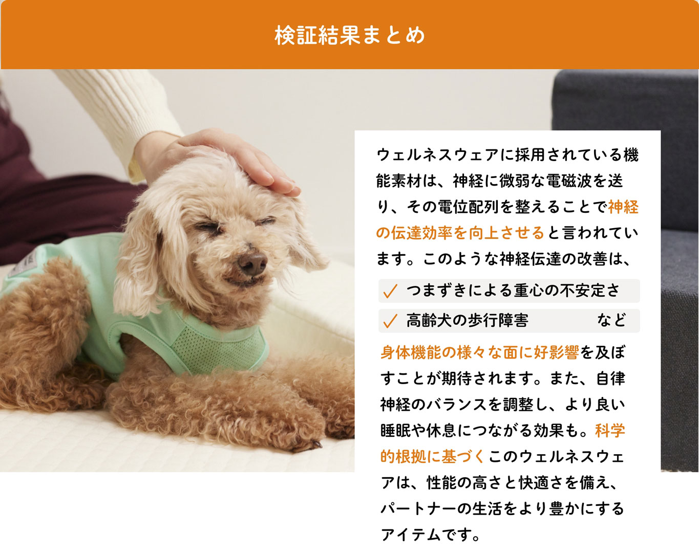 伸縮性も抜群で着せやすい