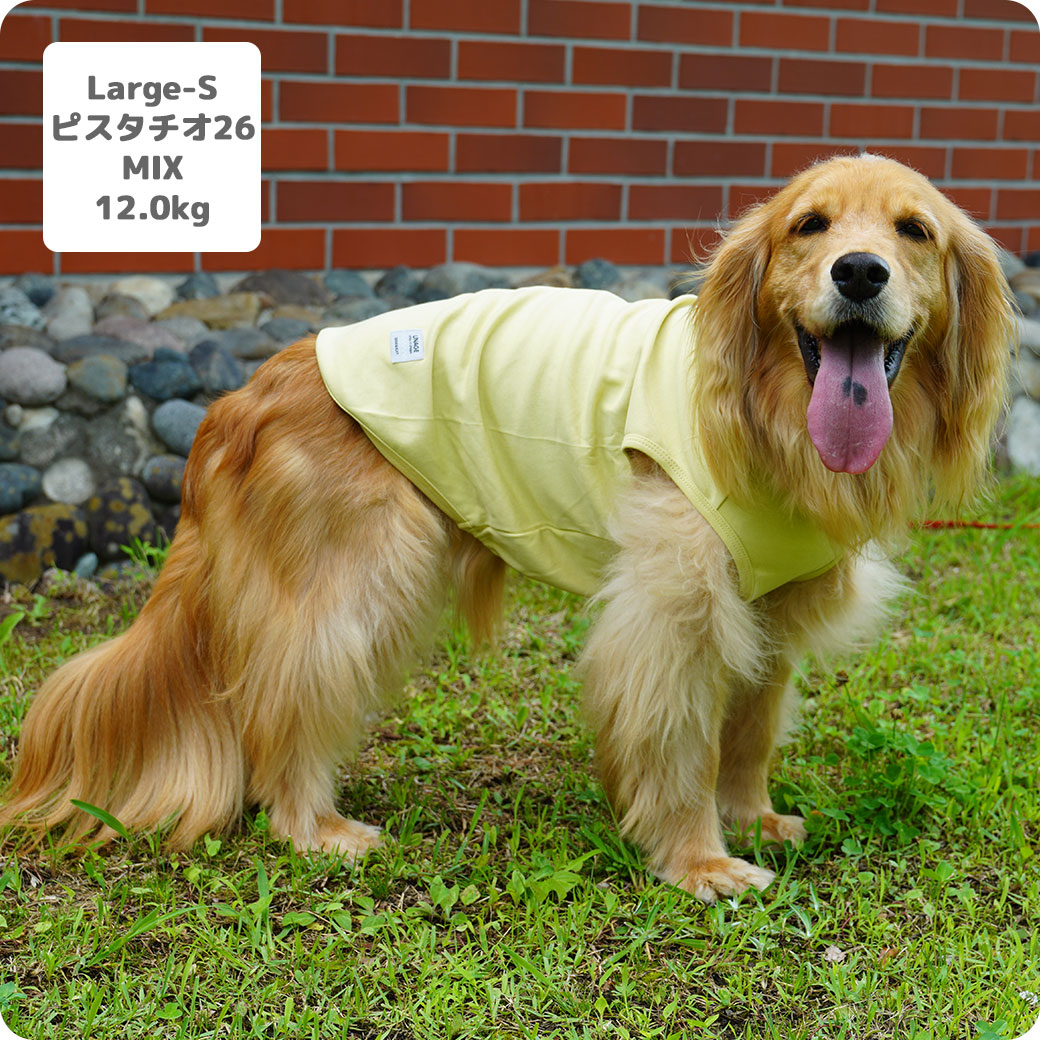 ボーダーコリー13.4kg(首34/胴55/丈53cm)のエルフィちゃんはグレーのLarge-Sを着用