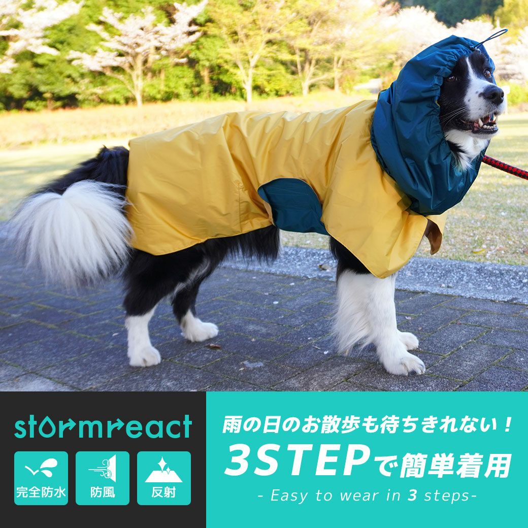 全２カラー