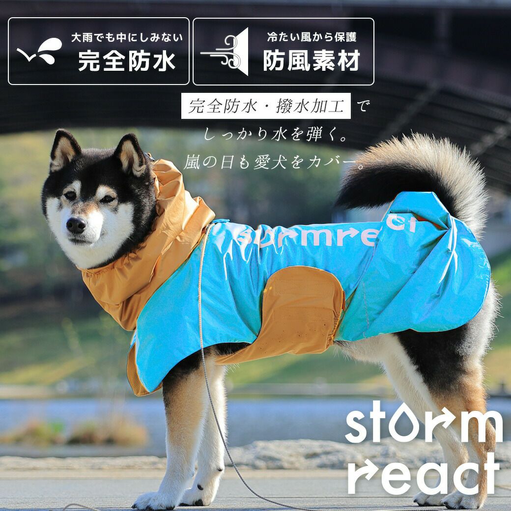 横からみた状態