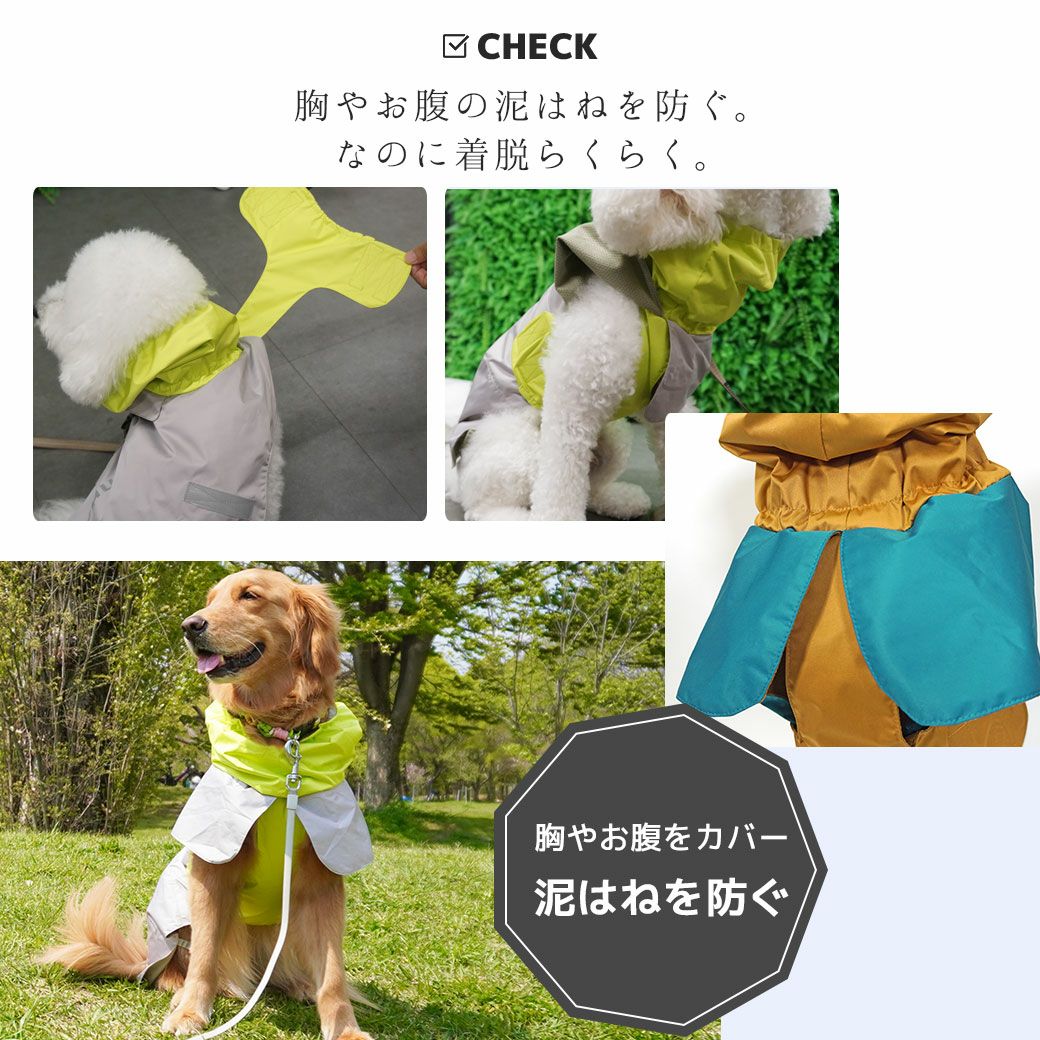 こだわりのデザイン