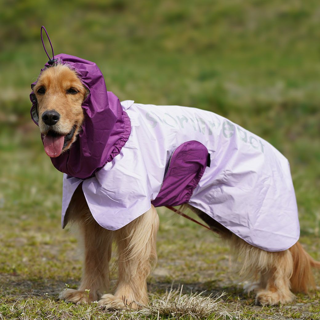 サスティナブルなパッケージ