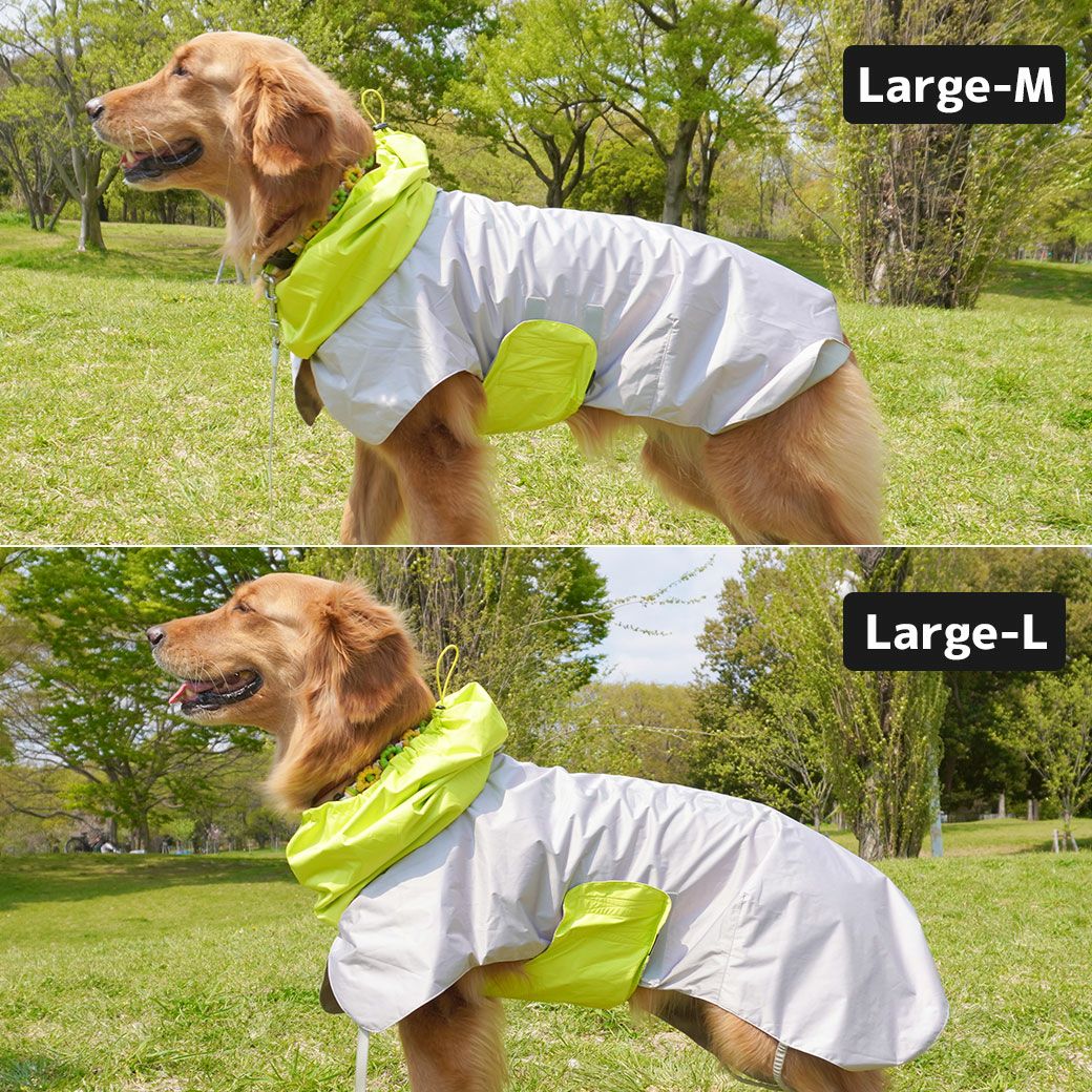 柴犬10.9kg(首42/胴58/丈43cm)のかんたくんはカーキのLarge-Sを着用