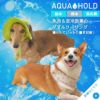 打ち水効果でひんやり冷却してくれる愛犬用ハット