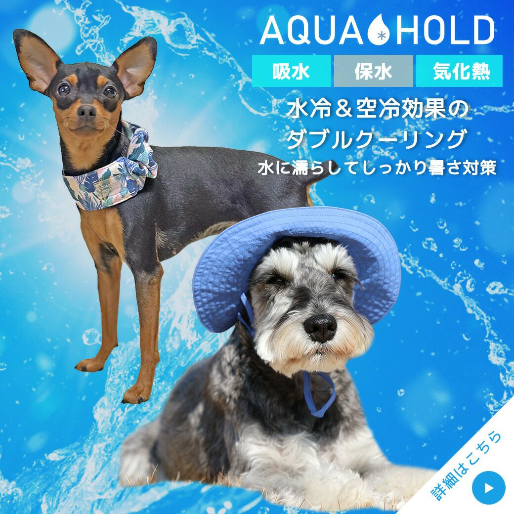 AQUAHOLD