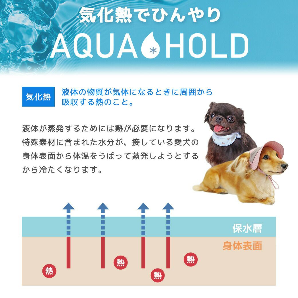 なんで冷たくなるの