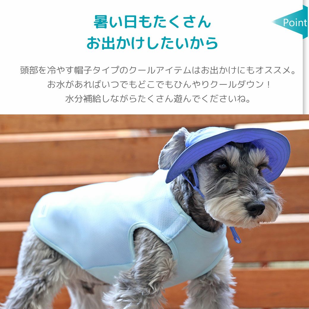 暑い日もたくさんお出かけしたいから