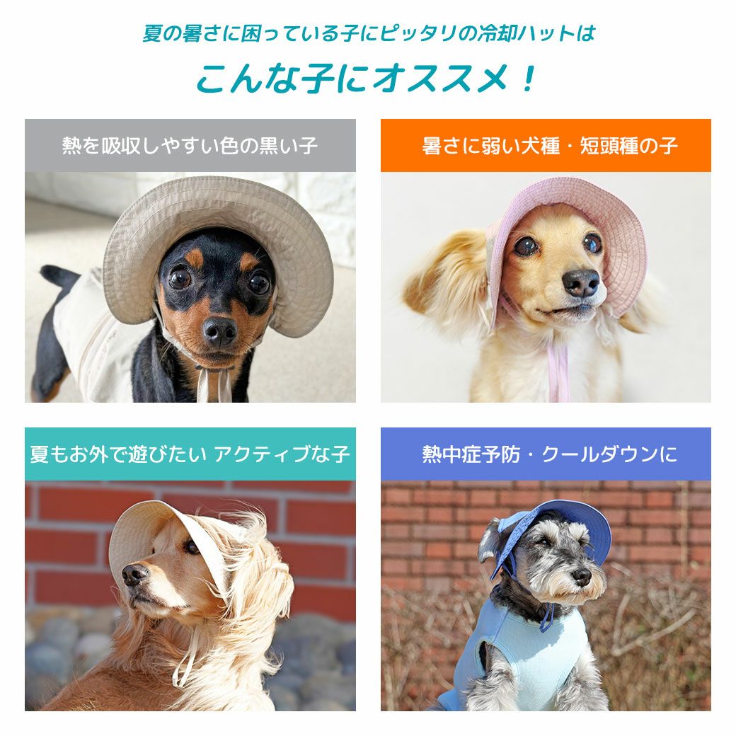 こんな子にオススメ！