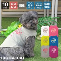 COOLMEお試しタンク