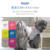 豊富なカラーバリエーション