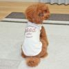 トイプー3.4kg(首20/胴35/丈30cm)のここはちゃんはホワイト25のDSを着用