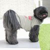シーズー5.4kg(首26/胴38/丈38cm)のつぶくんはグレー25のLを着用