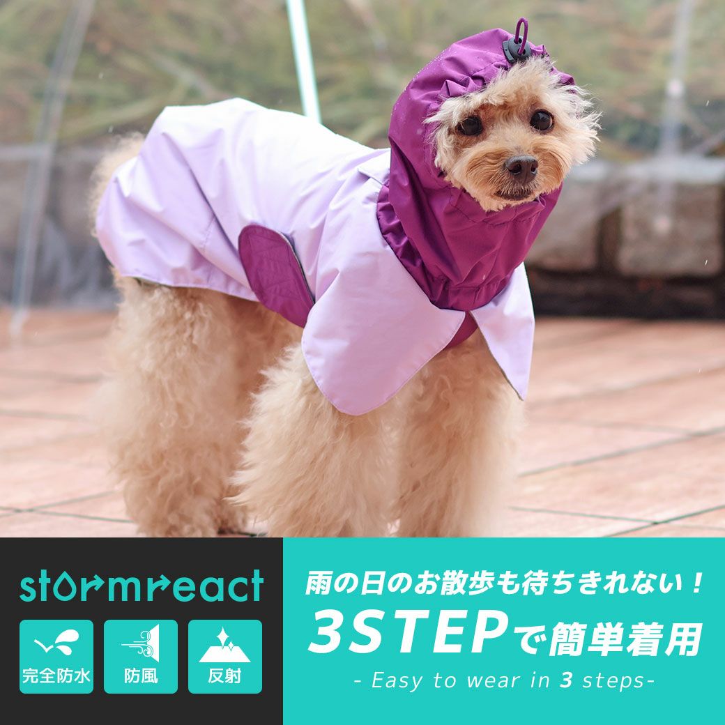 全４カラー