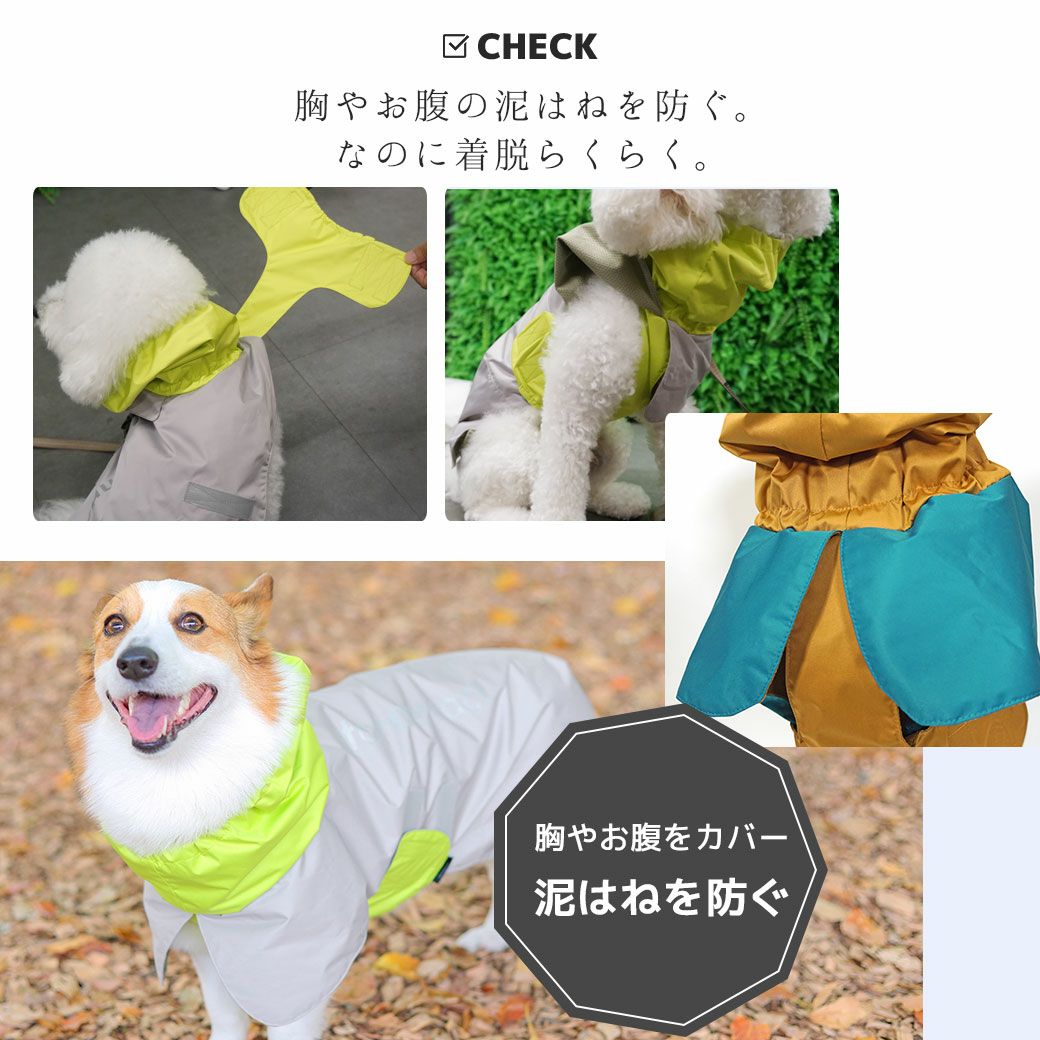 首後ろにはリードホール付き