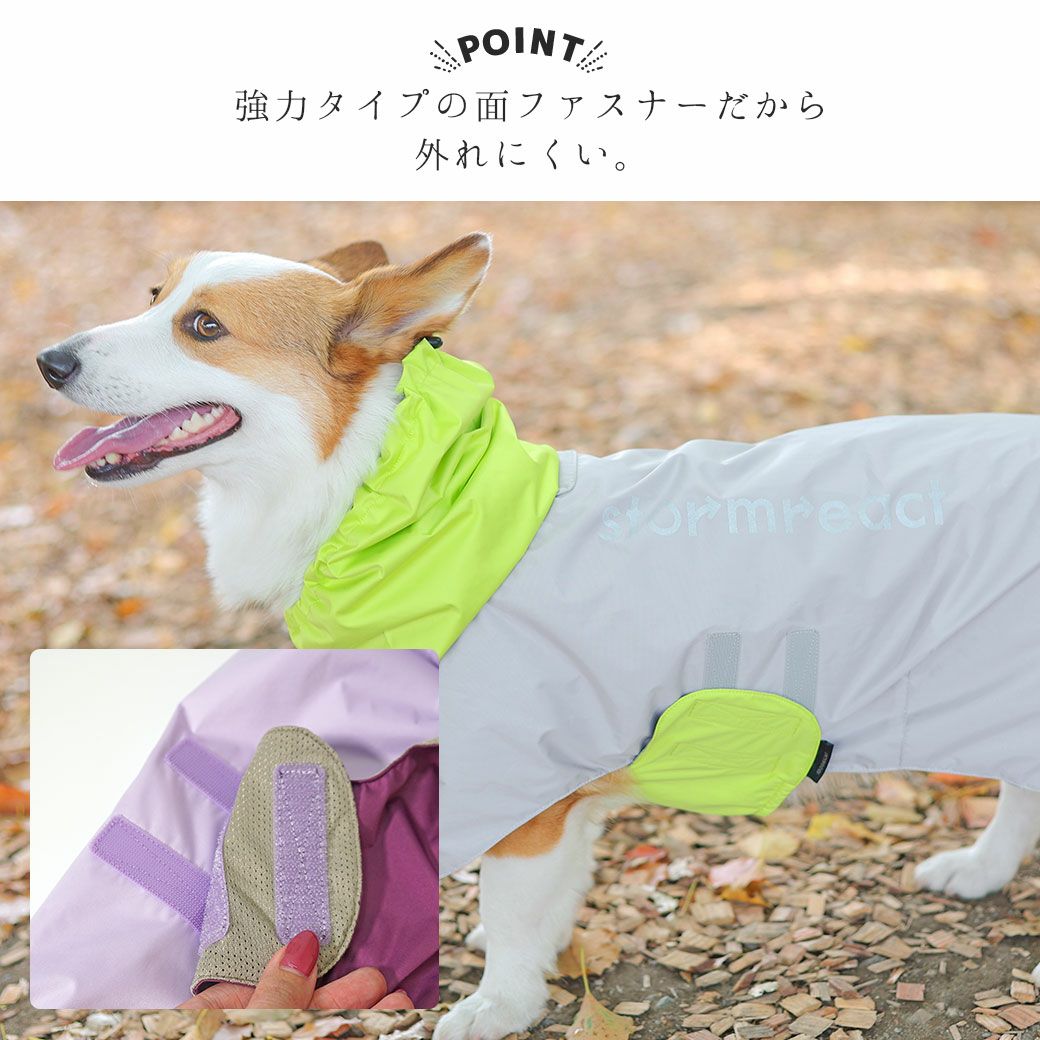 サスティナブルなパッケージ