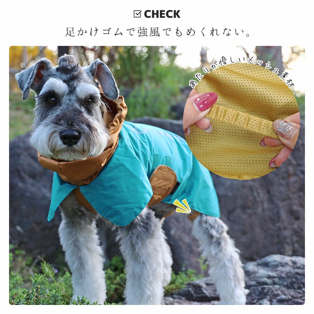 ミニピン3.7kg(首22/胴39/丈30cm)のバジルちゃんはダークオレンジのMを着用