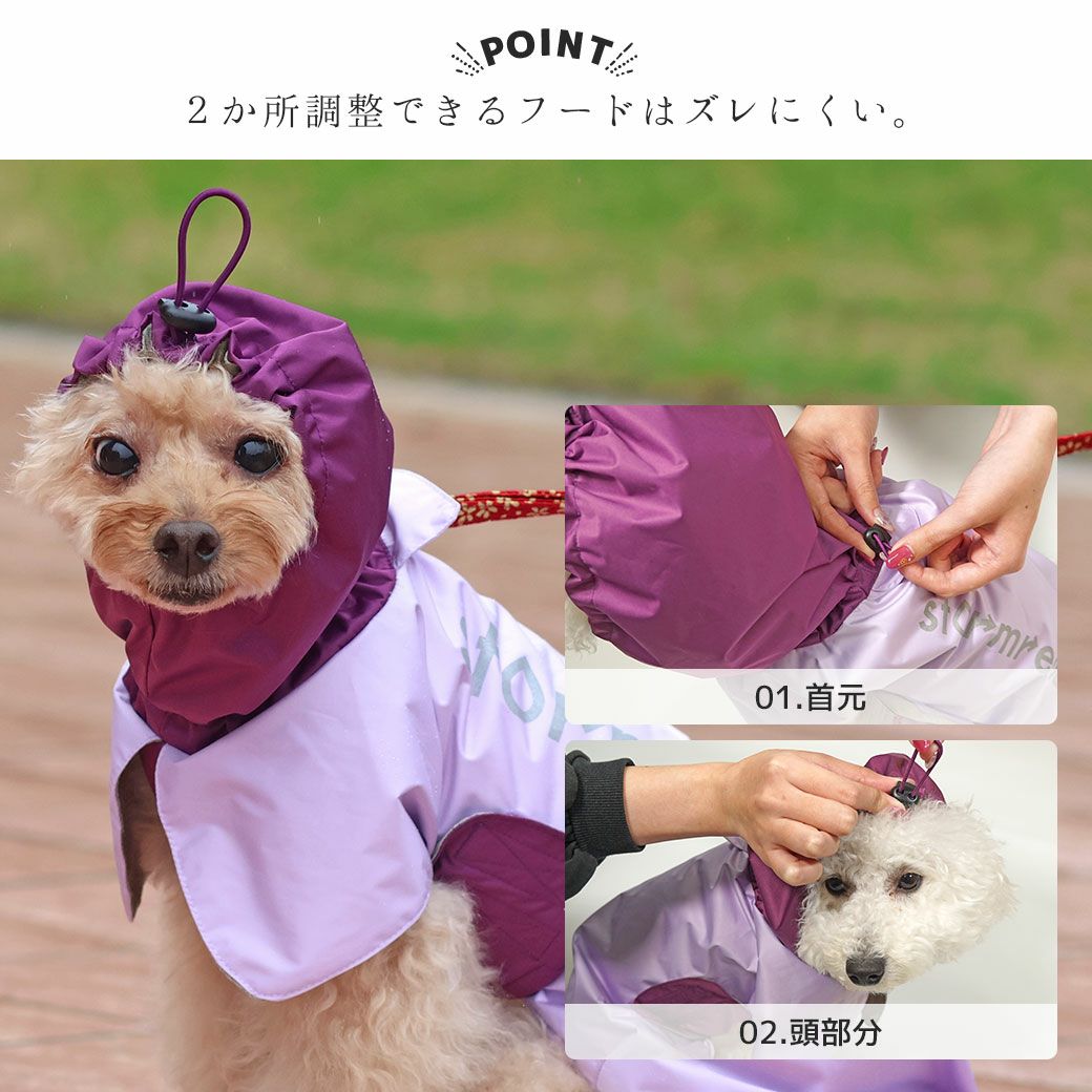 チワワ2.4kg(首22/胴32/丈26cm)のくらんちゃんはベージュのSを着用