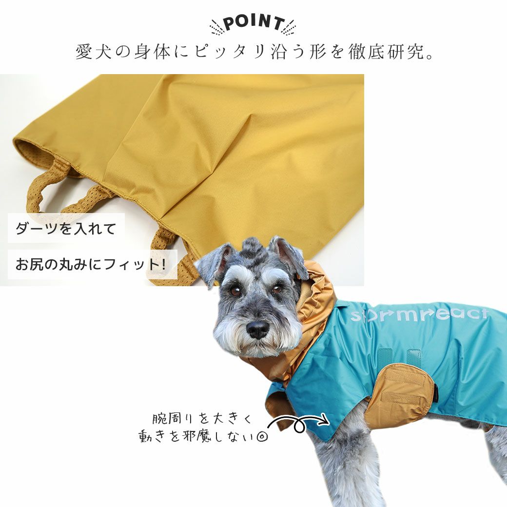 コーギー9.5kg(首38/胴52/丈42cm)のみかんくんはグレーのXXLを着用