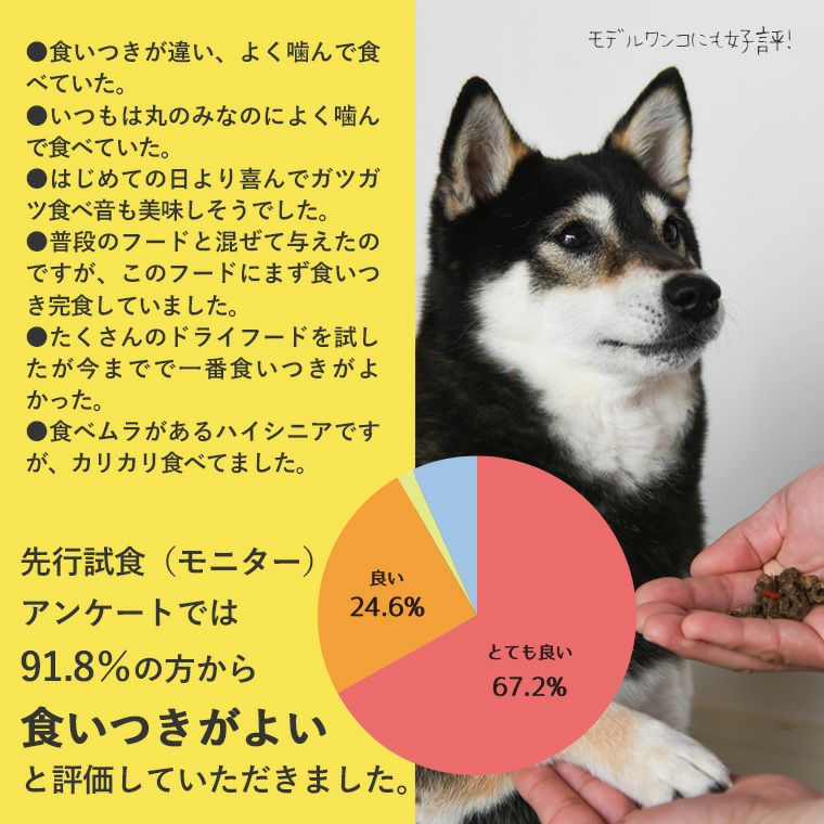 DOZO 700g×3袋 まとめ買いセット-犬猫ペット用品通販 IDOG&ICAT|ペット
