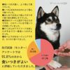 DOZOは食いつきが良いと高評価を得ています