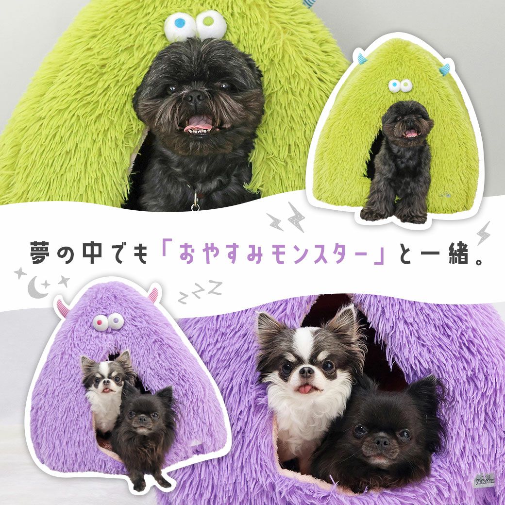 遊んでよし寝てよし写真を撮ってもよし