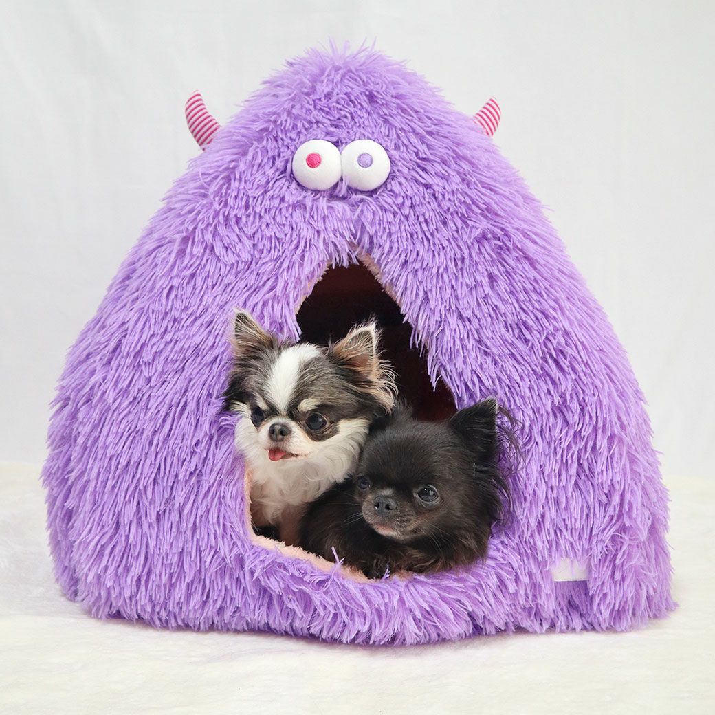 チワワ1.7kg(首18/胴27.5/丈18cm)の小真知ちゃんと、チワワ1.7kg(首19/胴28.5/丈21cm)の小桃ちゃんはパープルを使用