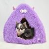チワワ1.7kg(首18/胴27.5/丈18cm)の小真知ちゃんと、チワワ1.7kg(首19/胴28.5/丈21cm)の小桃ちゃんはパープルを使用