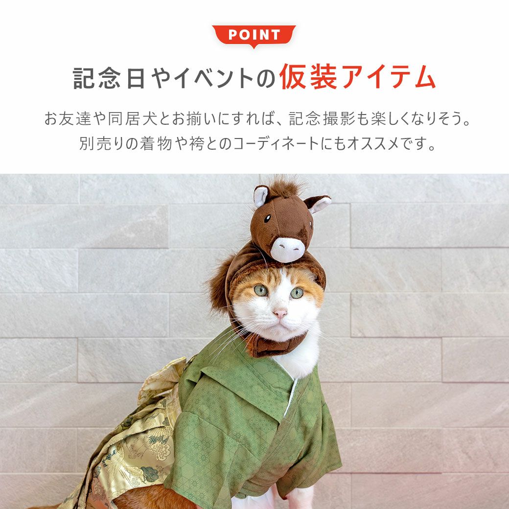 記念日やイベントにピッタリの仮装アイテム