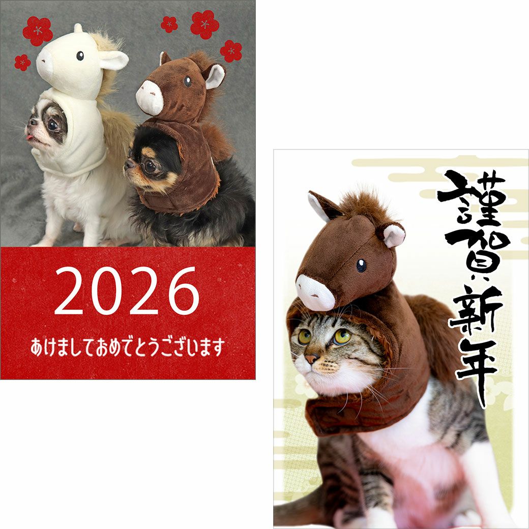 記念日やイベントにピッタリの仮装アイテム