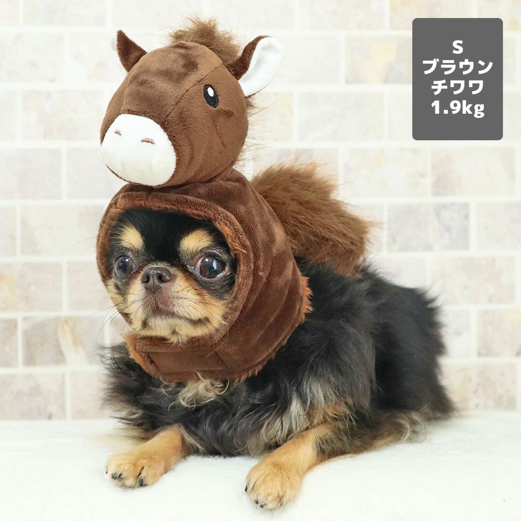 チワワ1.9kg(首19/胴29.5/丈21.5cm)のウメちゃんはブラウンのSを着用