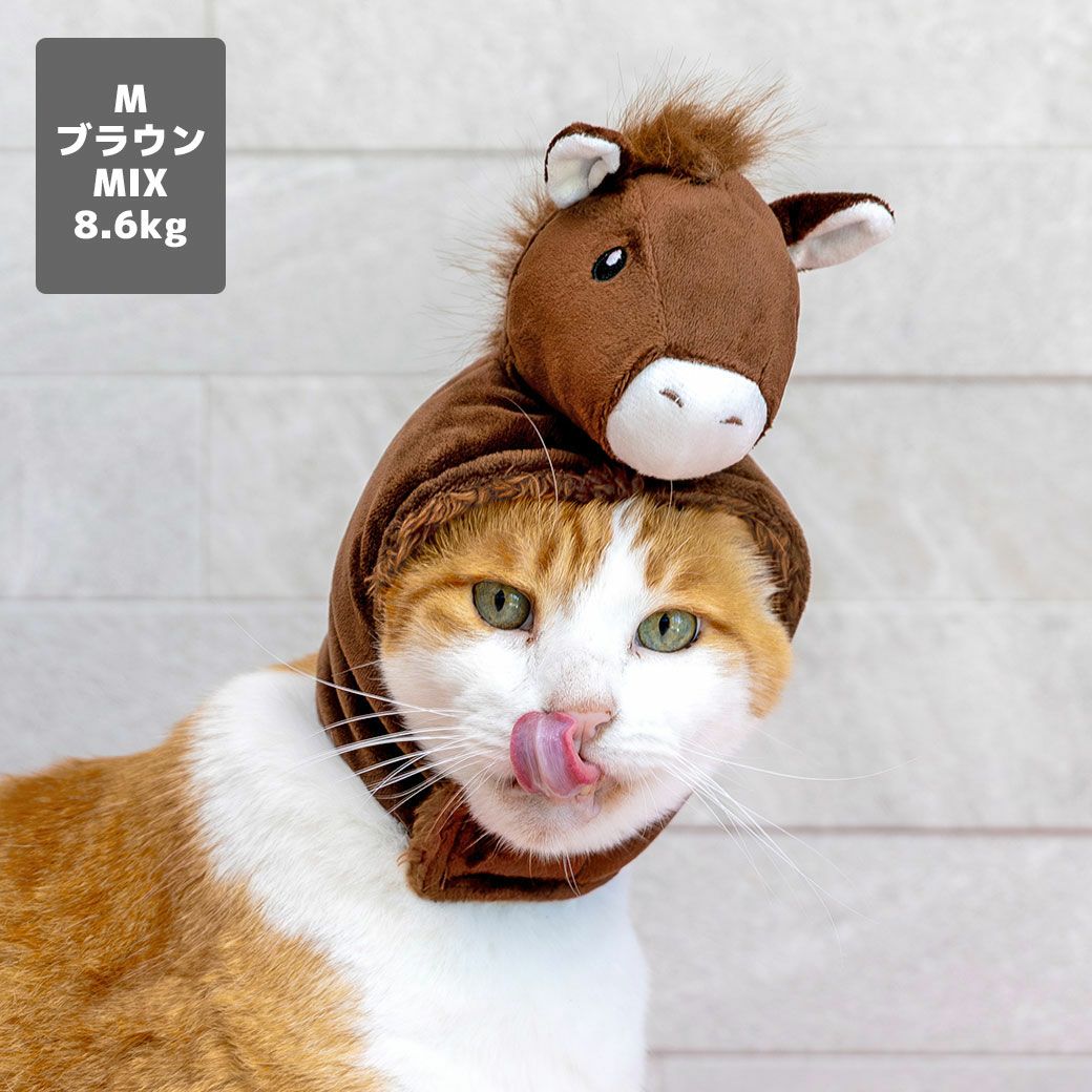 MIX8.6kg(首25/胴54/丈34cm)のゆづるくんはブラウンのMを着用