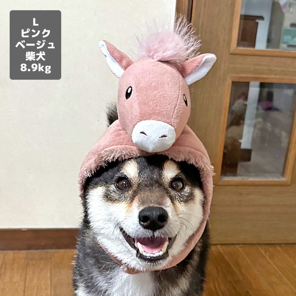 柴犬8.9kg(首33/胴54/丈39cm)のチョコプリンちゃんはピンクベージュのLを着用