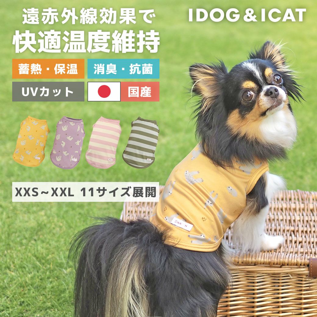 寒がりチワワの防寒対策 かわいくてあったかい冬服で寒さから守ろう 子犬やシニアの注意点も 59 Idog Icat