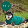 柴犬8.8kg(首34/胴50/丈38cm)の凪ちゃんはグリーンのXXLを着用