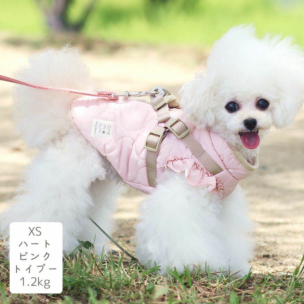 トイプー1.2kg(首15/胴26/丈19cm)のマユリちゃんはハートピンクのXSを着用